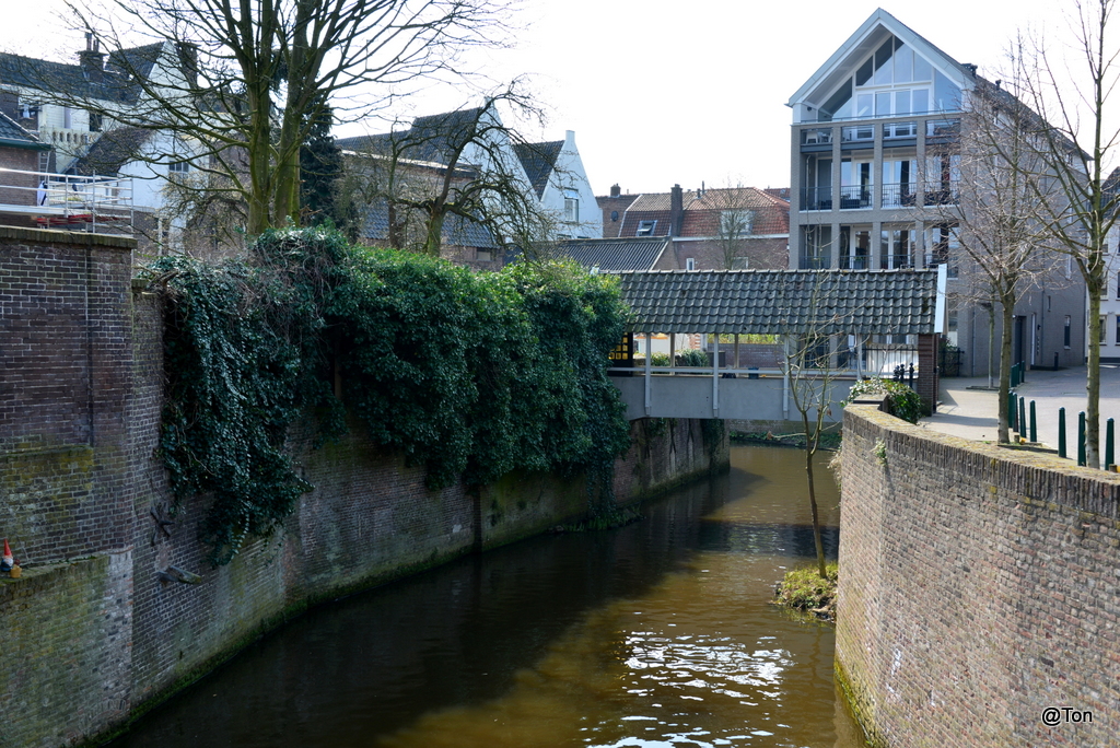 DSC_9453.JPG