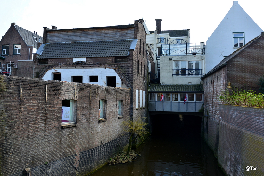 DSC_9455.JPG
