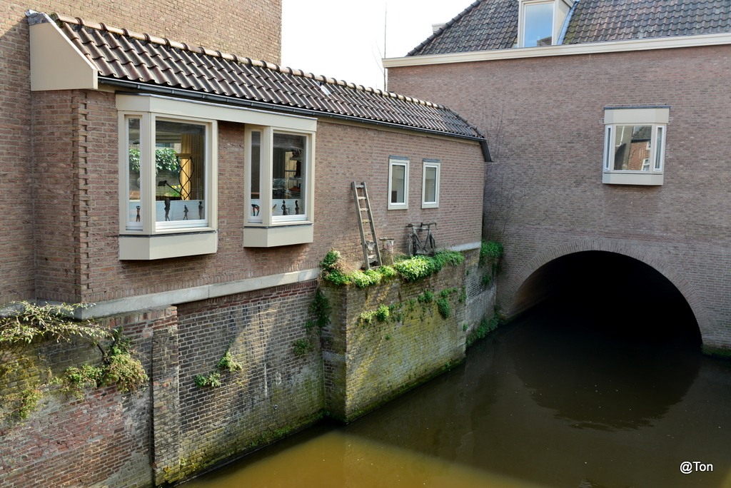DSC_9467.JPG