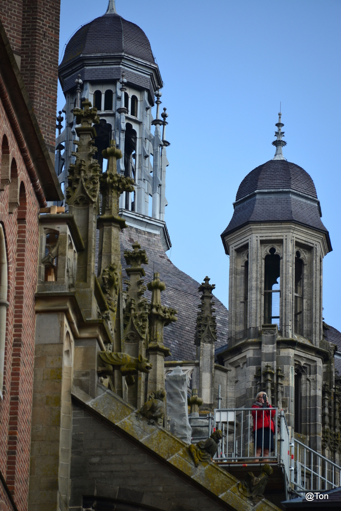 DSC_9507.JPG