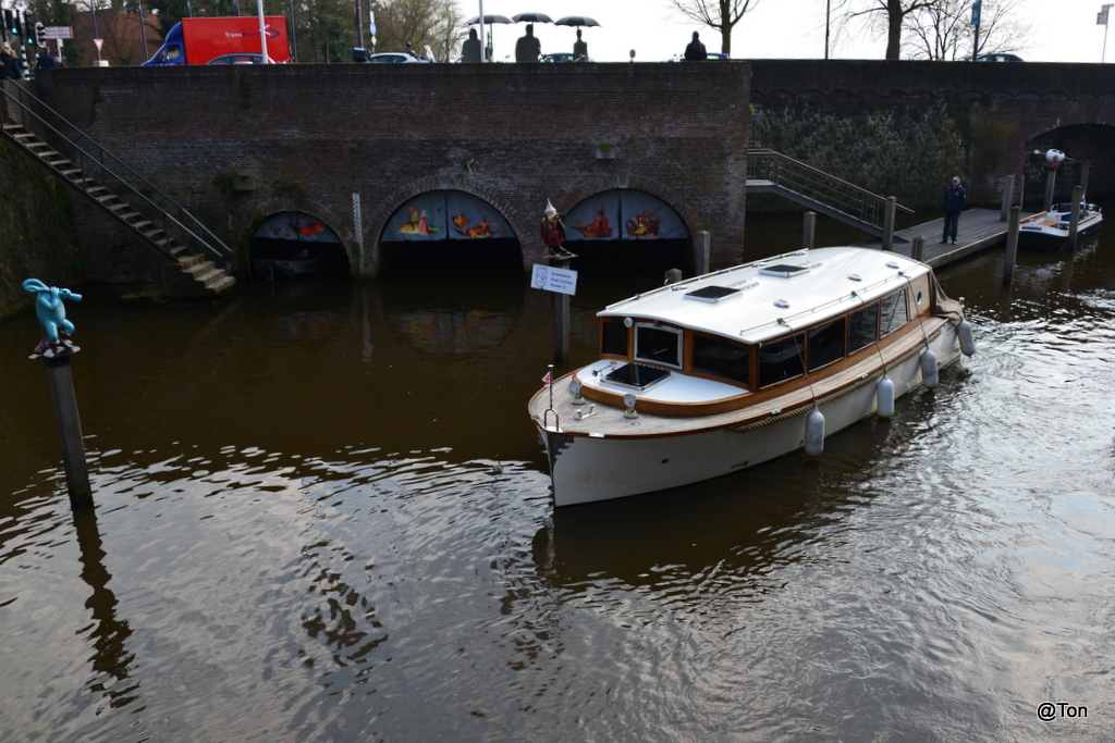 DSC_9588.JPG