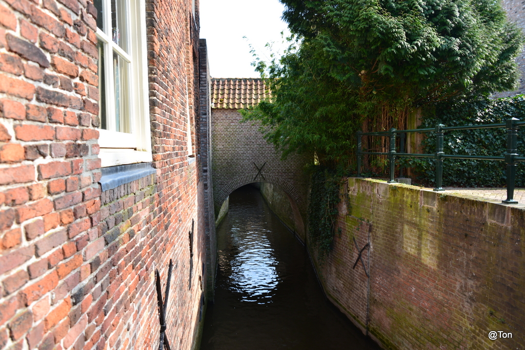 DSC_9605.JPG