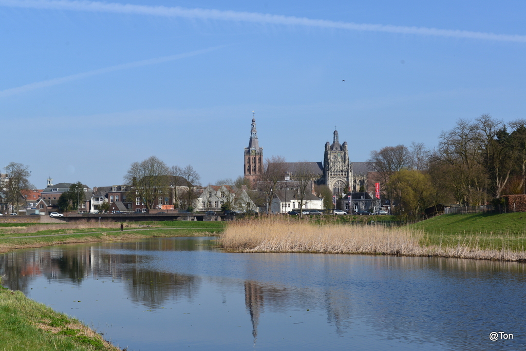 DSC_9173.JPG