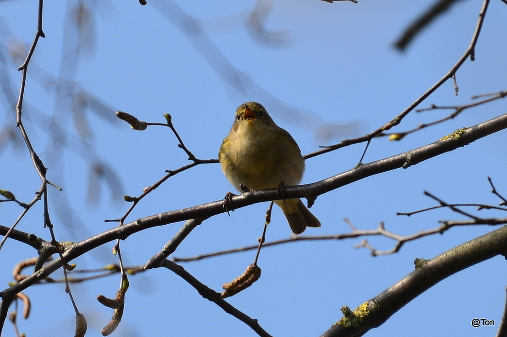 DSC_9293.JPG