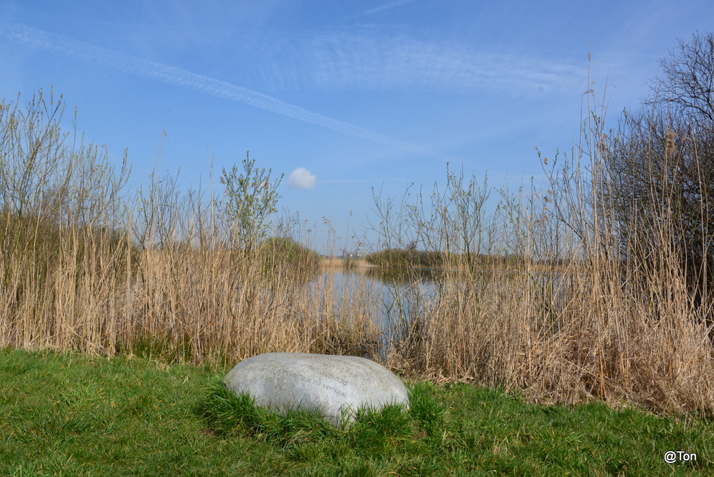 DSC_9304.JPG