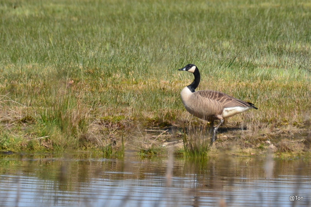 DSC_9311.JPG