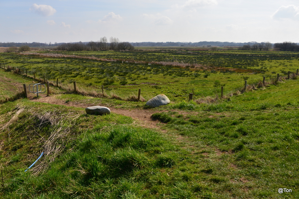 DSC_9359.JPG