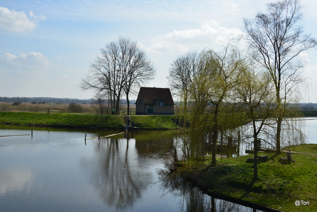 DSC_9374.JPG