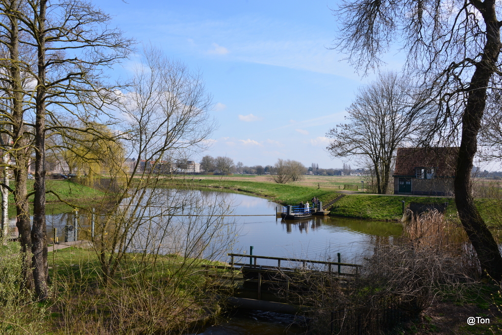 DSC_9377.JPG