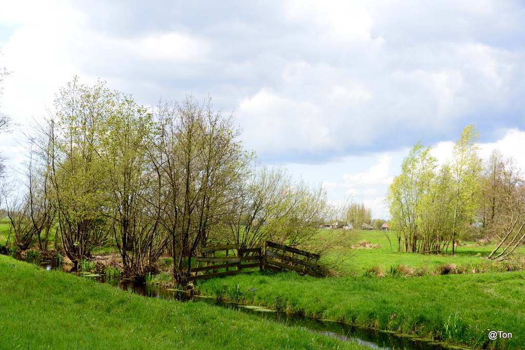 DSC_0880.JPG