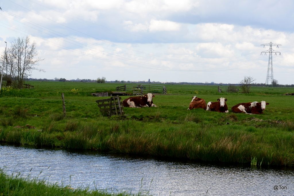 DSC_0948.JPG
