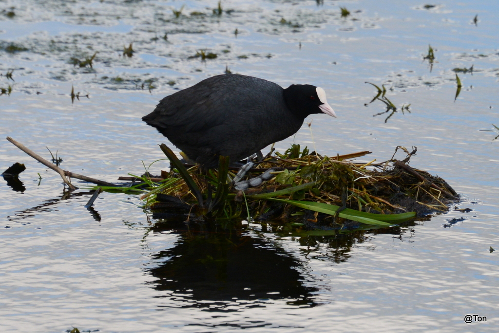 DSC_0976.JPG