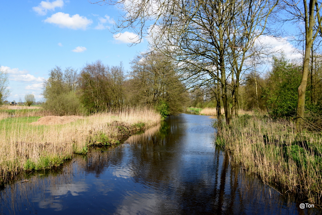 DSC_1070.JPG