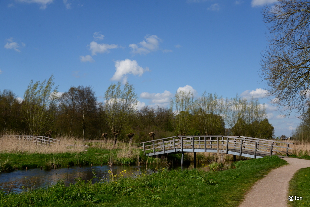 DSC_1072.JPG