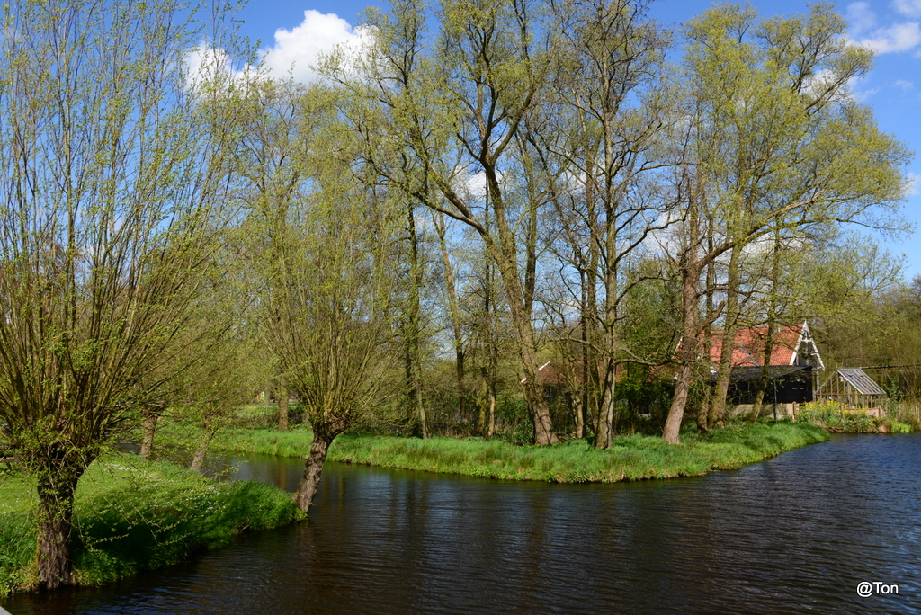 DSC_1073.JPG
