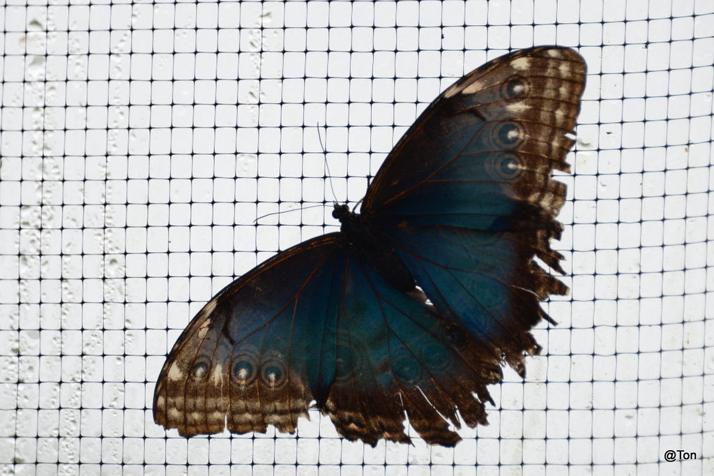 DSC_5783.JPG