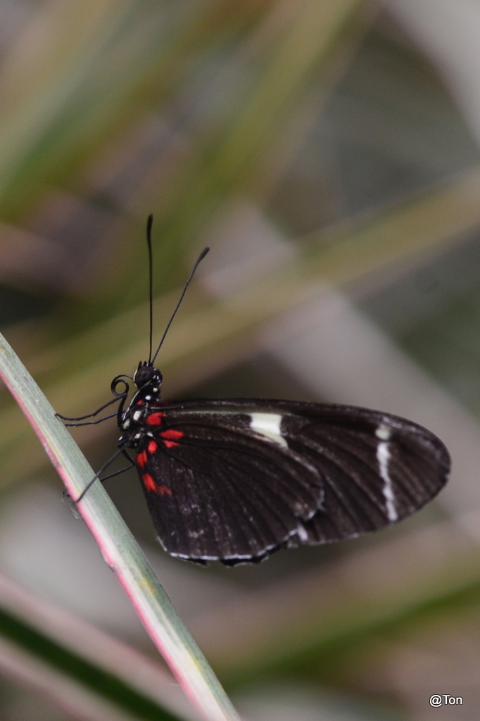 DSC_5827.JPG