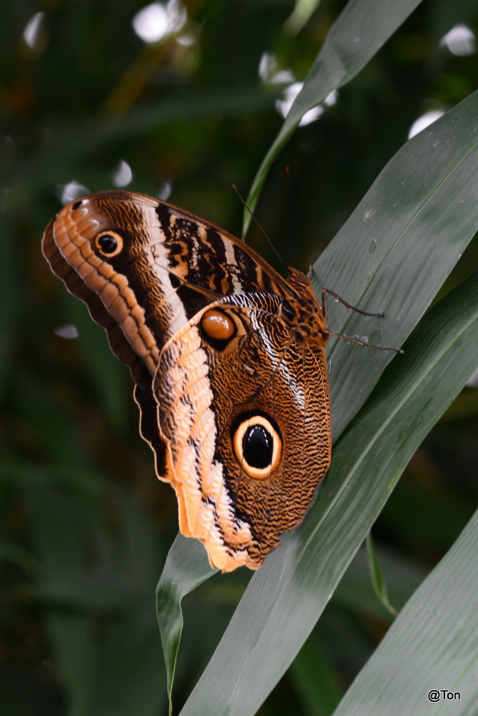 DSC_5841.JPG