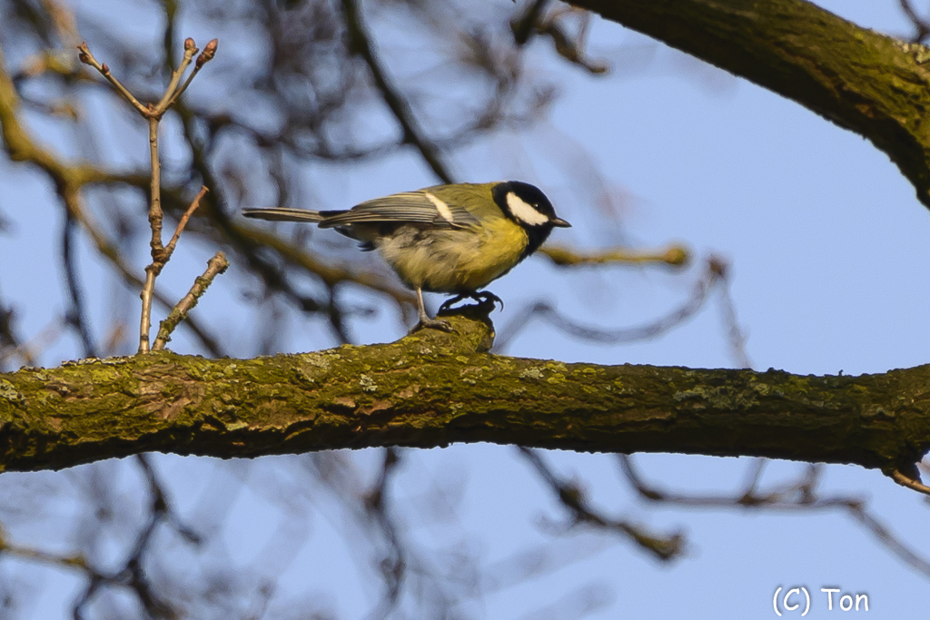 DSC_2830.jpg
