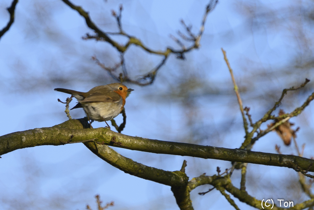 DSC_2861.jpg