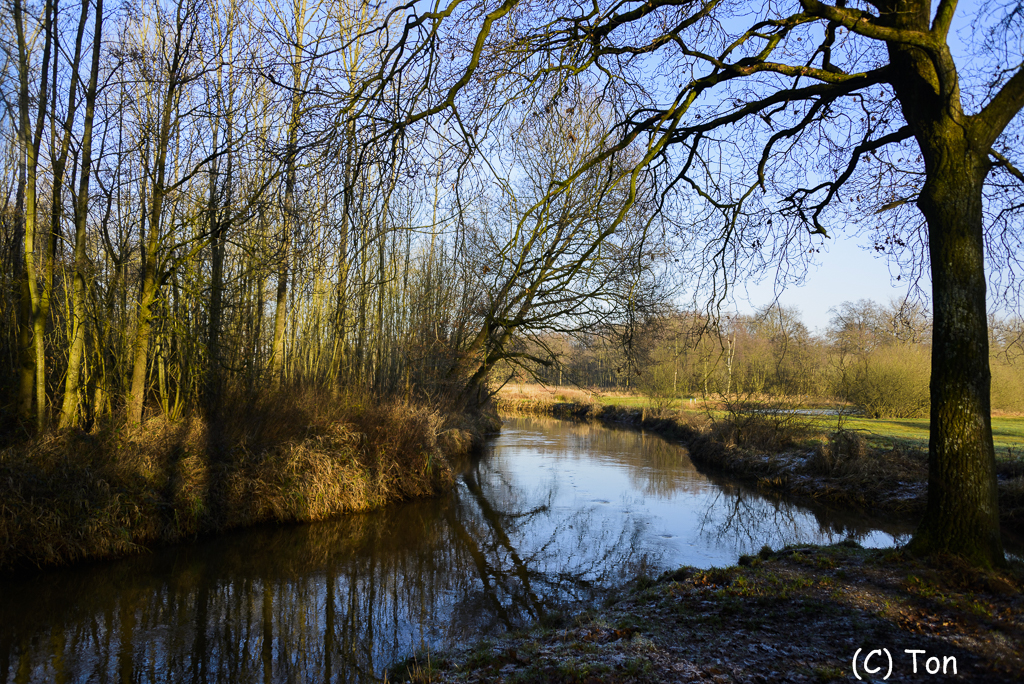 DSC_2877.jpg