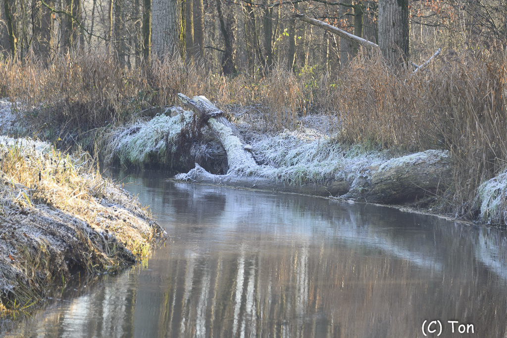 DSC_2878.jpg