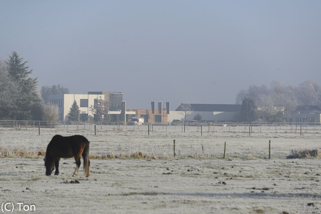 DSC_2775.jpg