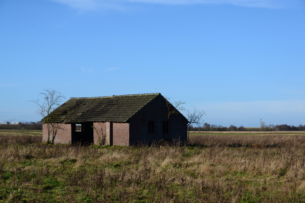 DSC_7233.JPG