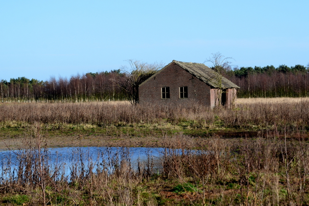 DSC_7235.JPG