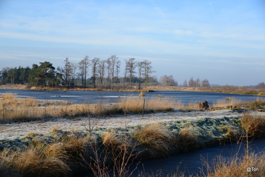 DSC_7501.JPG