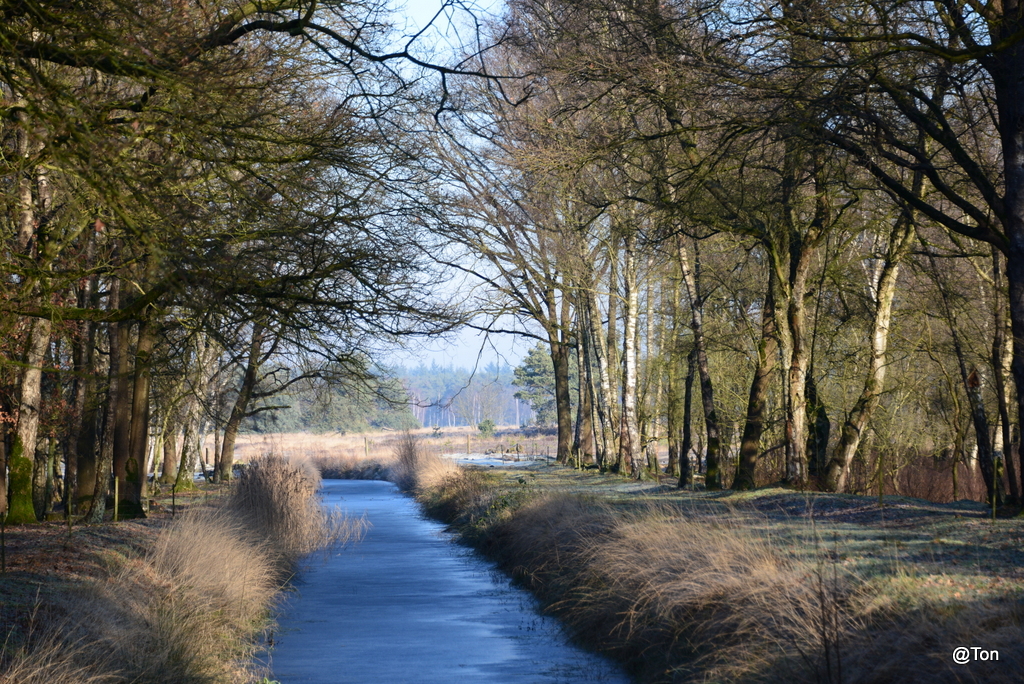 DSC_7515.JPG