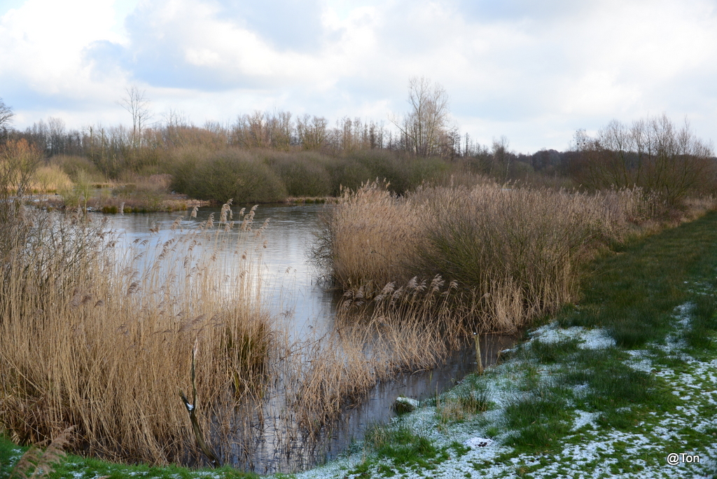 DSC_7382.JPG