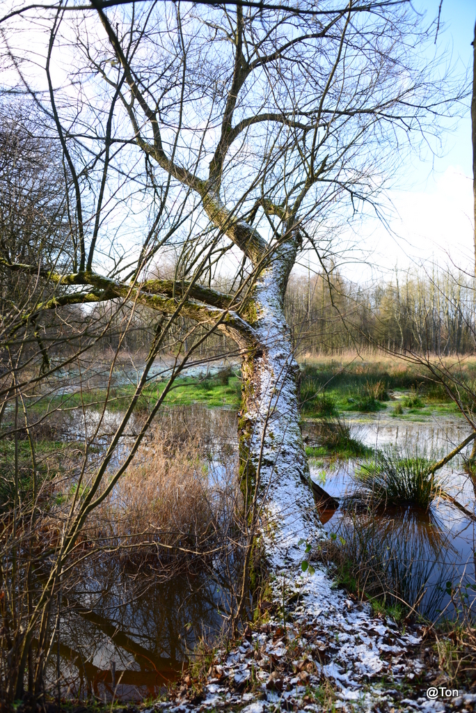 DSC_7394.JPG