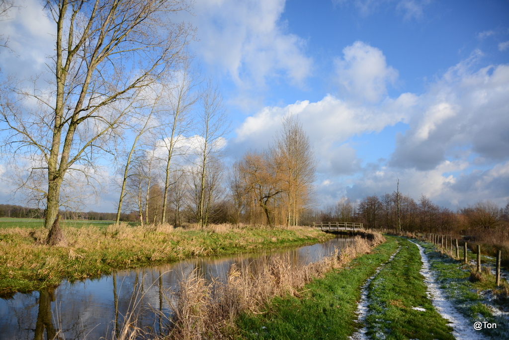 DSC_7396.JPG