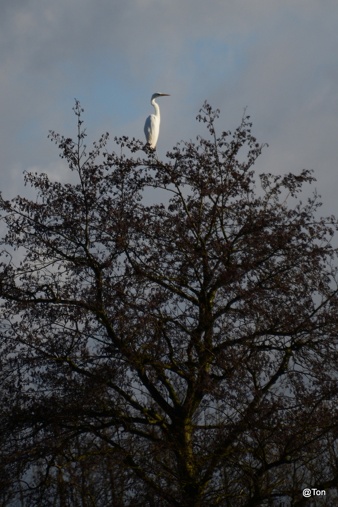 DSC_7400.JPG