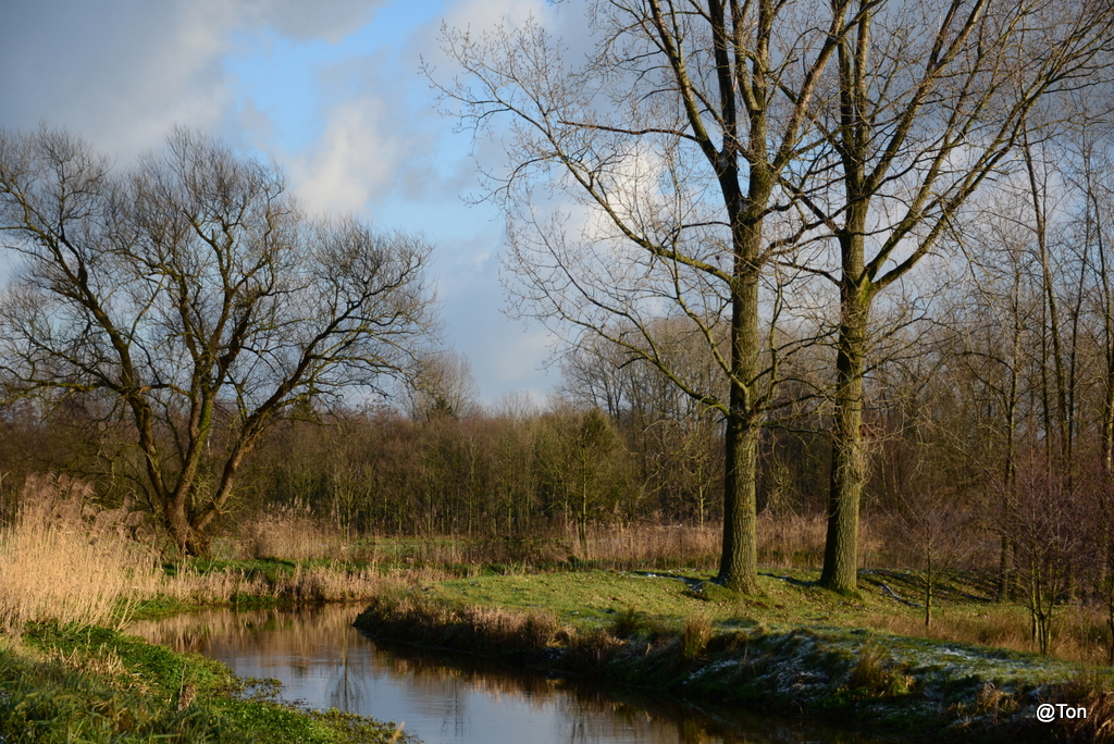 DSC_7409.JPG