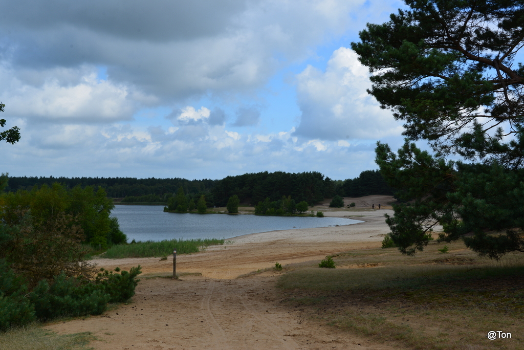 DSC_4223.jpg