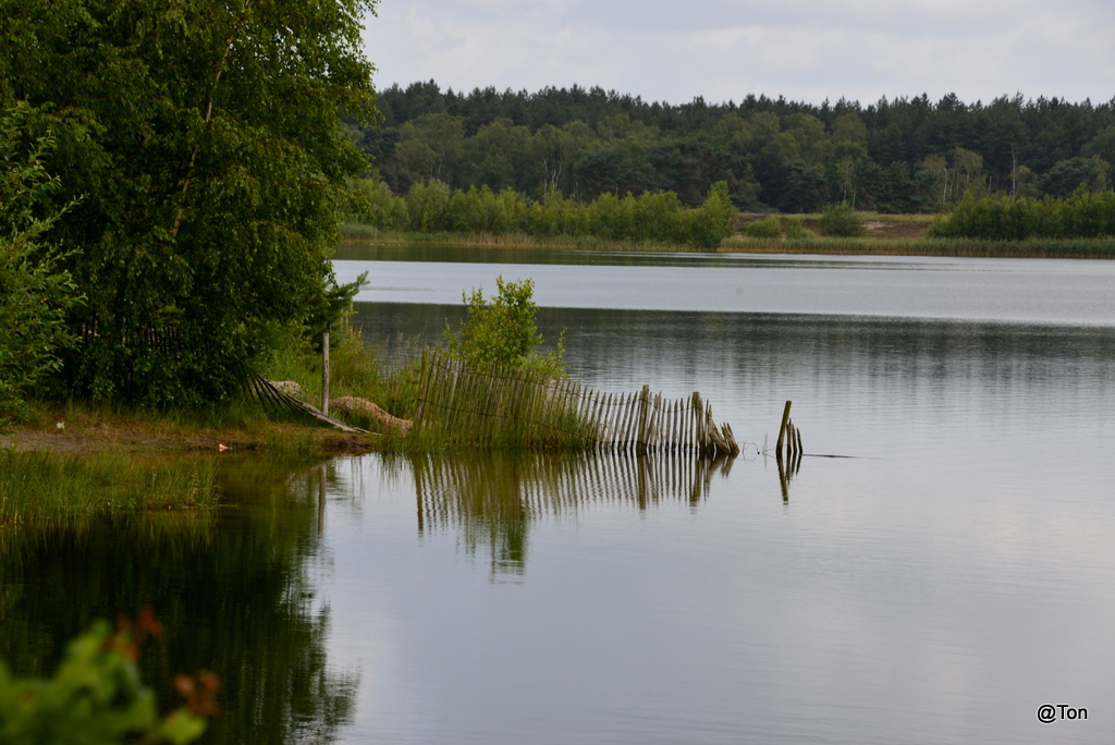 DSC_4232.jpg