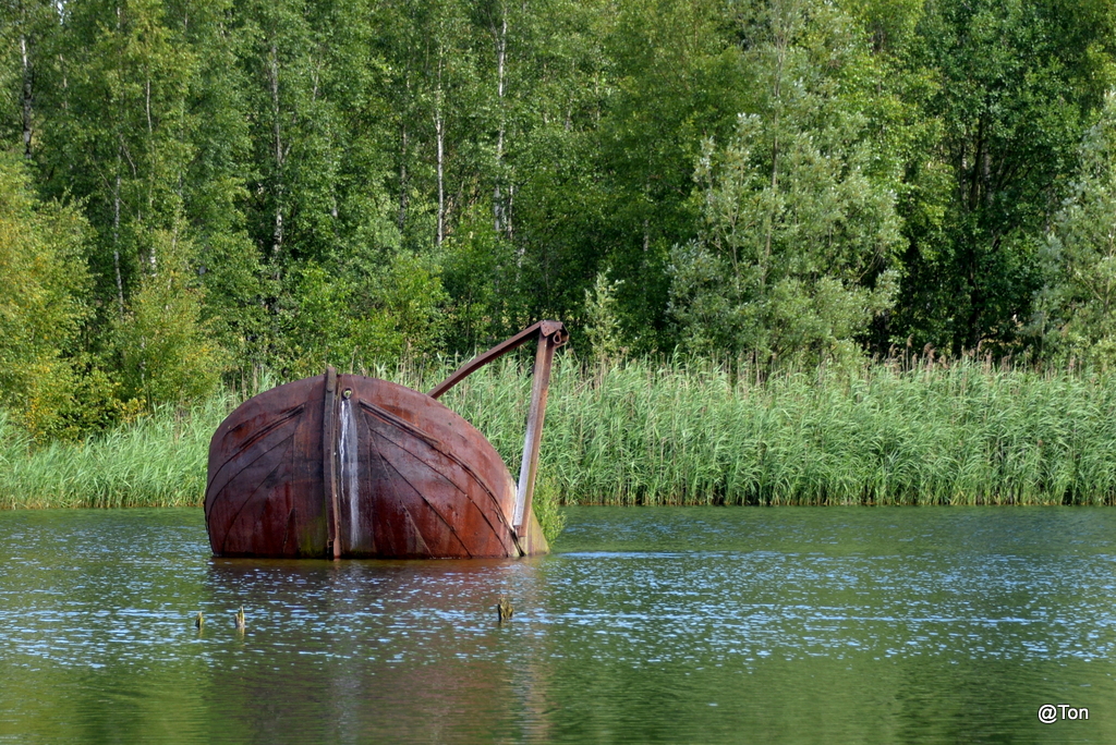 DSC_4253.jpg