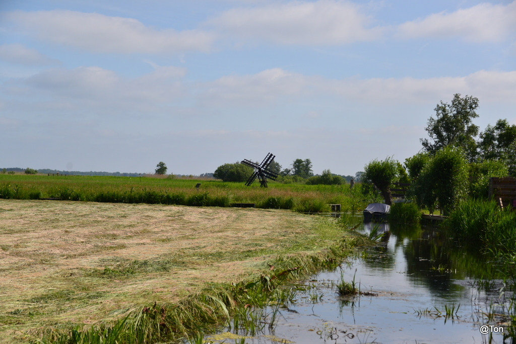DSC_3524.JPG
