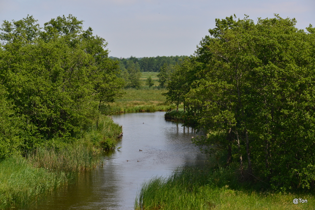 DSC_3610.JPG