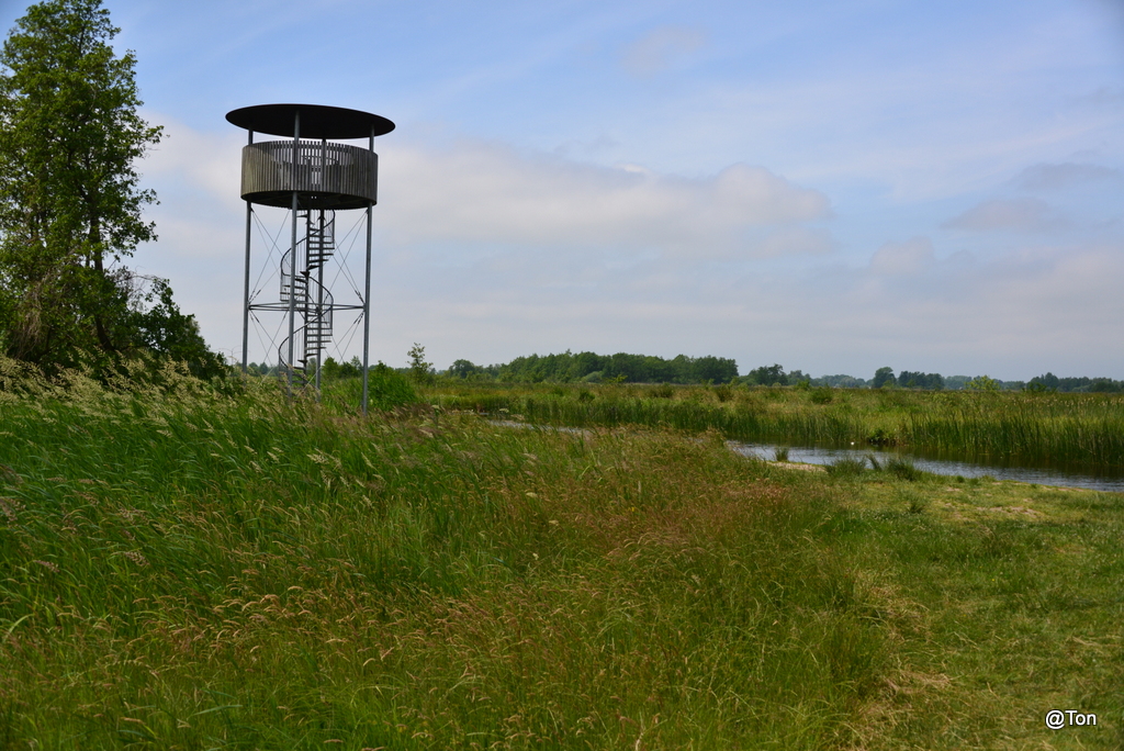 DSC_3613.JPG