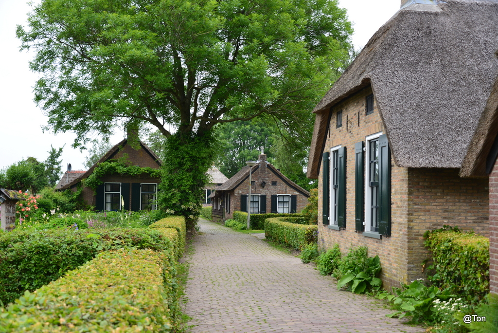 DSC_3635.JPG