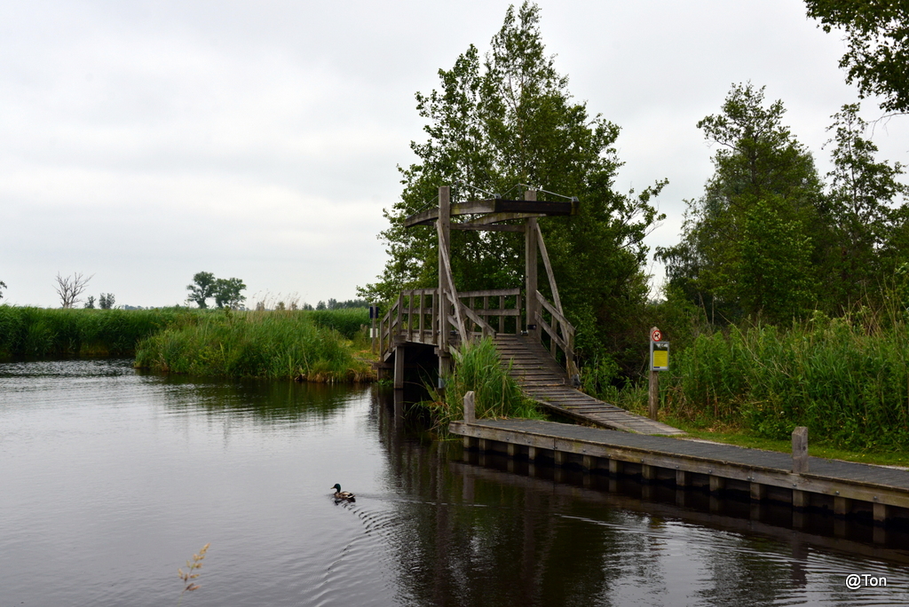 DSC_3640.JPG