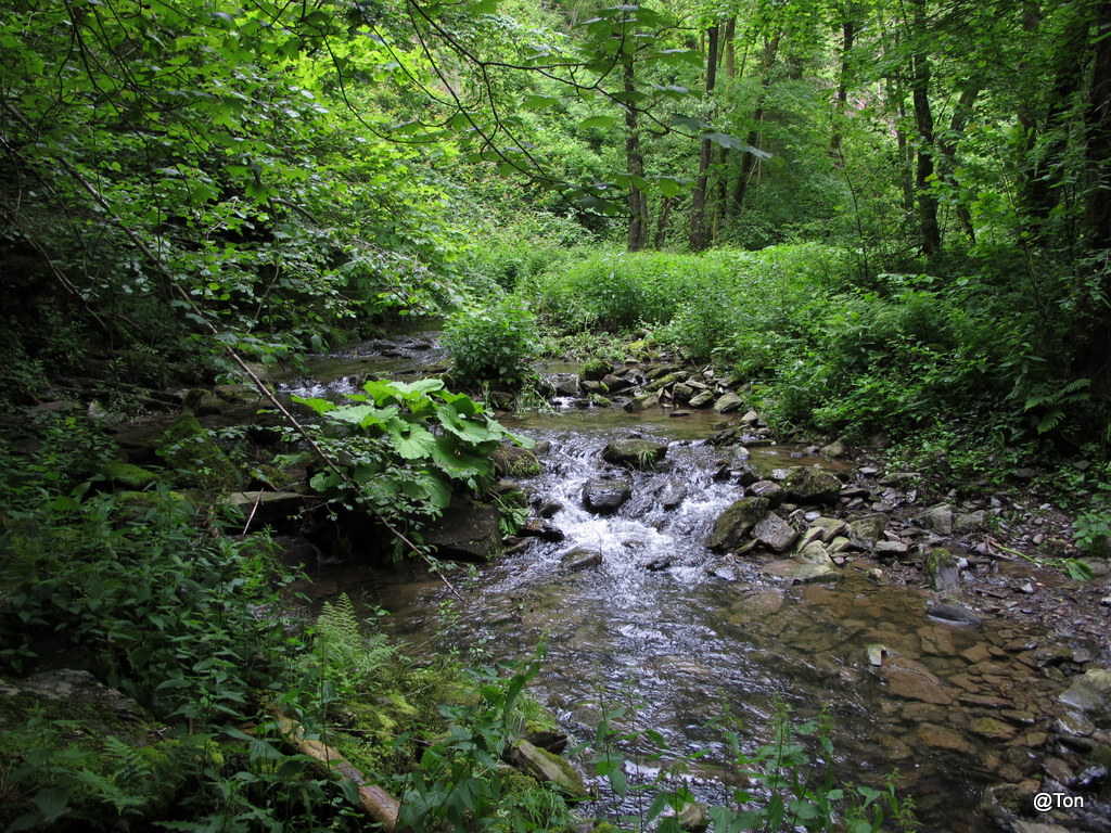IMG_5407.JPG