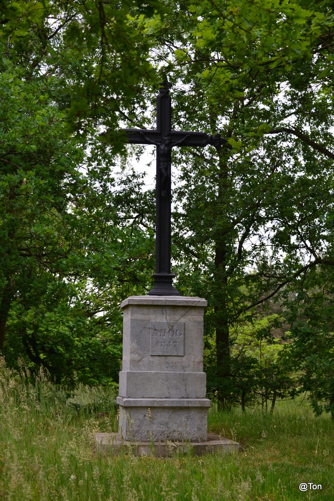DSC_2464.JPG