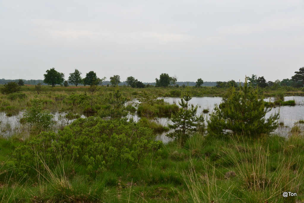 DSC_2531.JPG