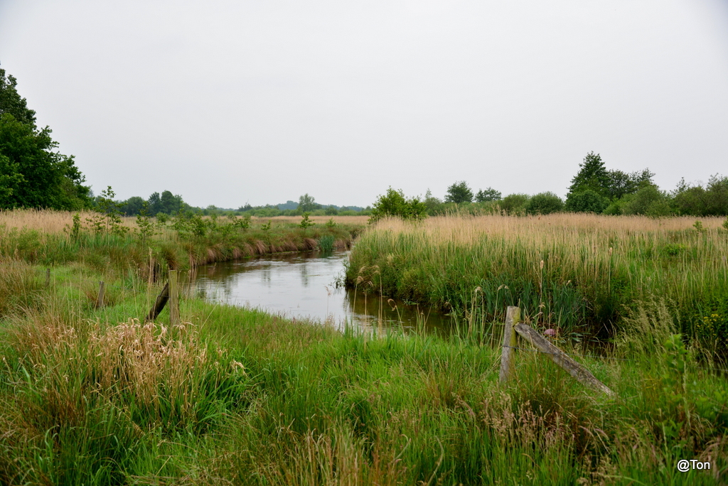 DSC_2548.JPG - De Dommel