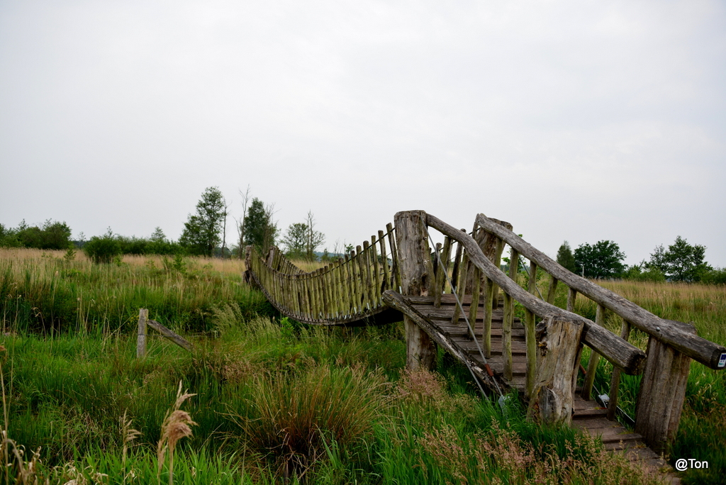 DSC_2549.JPG
