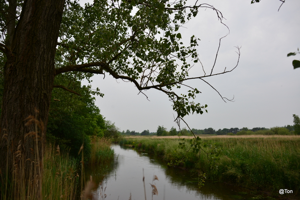 DSC_2564.JPG